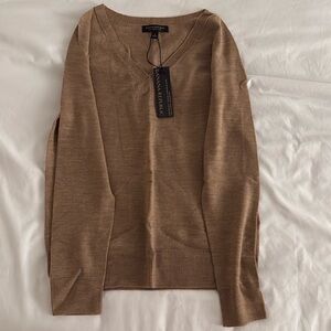Banana Republic Merino Wool V-Neck Sweater